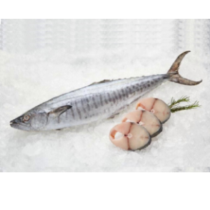King Fish / Seer Fish (Surmai )